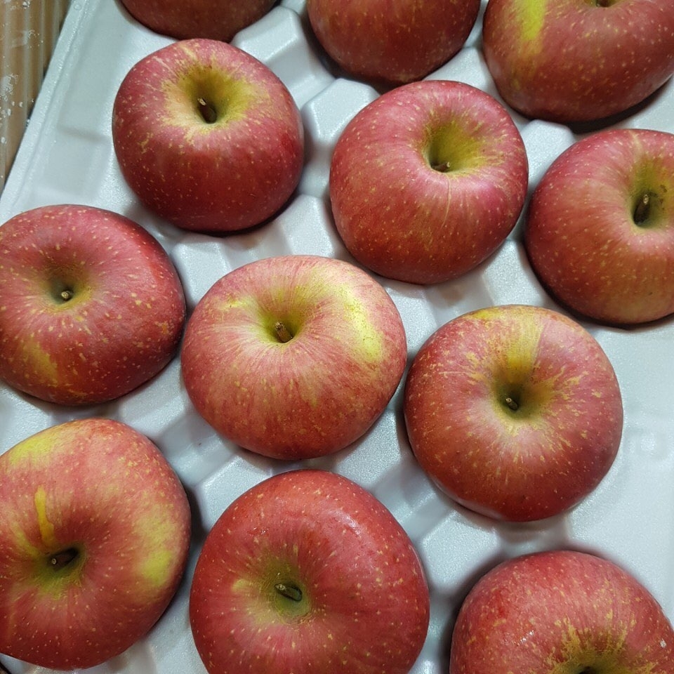 살면서 가장 많이 먹은 것 같은 과일은? | 인스티즈