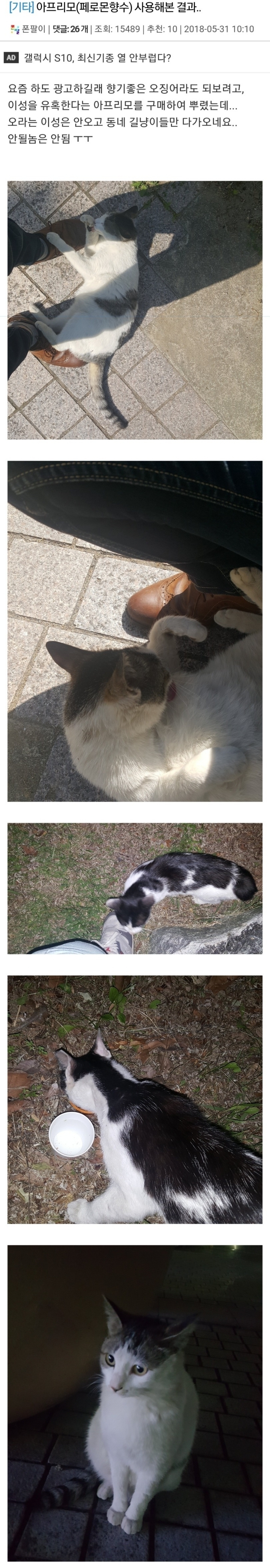 페로몬향수 후기 | 인스티즈