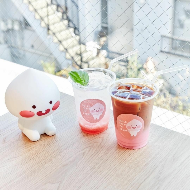 일본열도를 흔들고 있는 차세대 한류스타 | 인스티즈