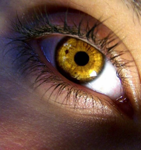 눈 개쩌는 인도여자 | 인스티즈