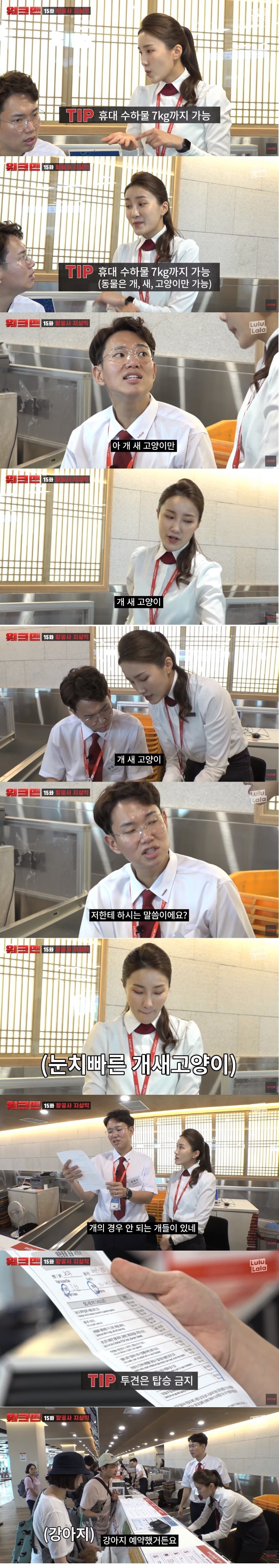 항공사에서 일하는 장성규 ㅋㅋㅋㅋㅋㅋㅋㅋㅋㅋ | 인스티즈