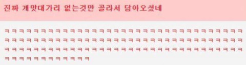 웃대 호쌍새 모음 | 인스티즈