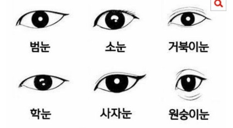 나는 무슨 눈 일까? | 인스티즈