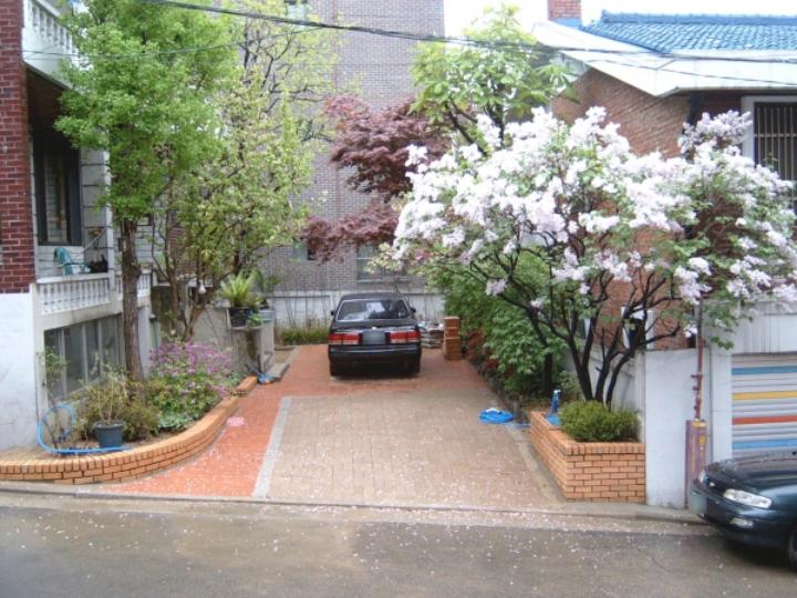 우리나라 미관을 해친다고 생각 하는 3가지...jpg | 인스티즈