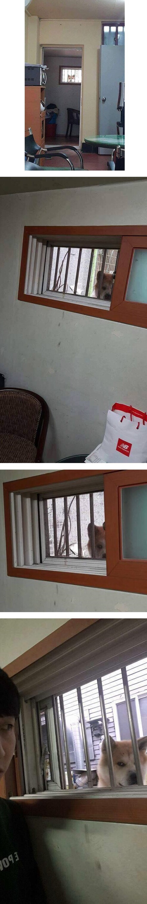 반지하 사는데 누가 쳐다봐요 | 인스티즈