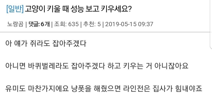 [LOL] 신캐릭터 유미 서포터의 마인드 | 인스티즈