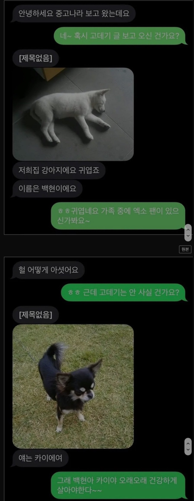 평화로운 중고나라.jpg | 인스티즈