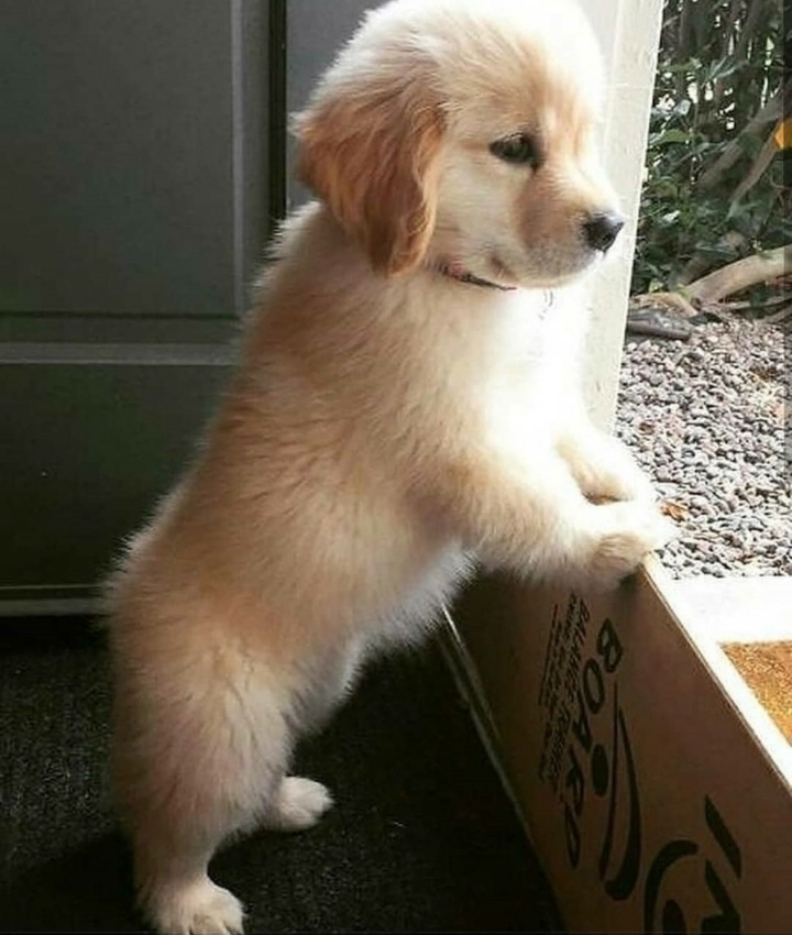 아기인절미 | 인스티즈