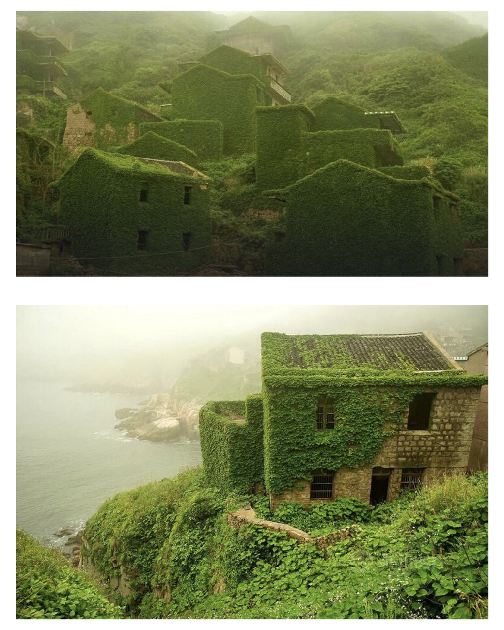 20년뒤 한국 농촌 사회의 미래 모습...jpg | 인스티즈