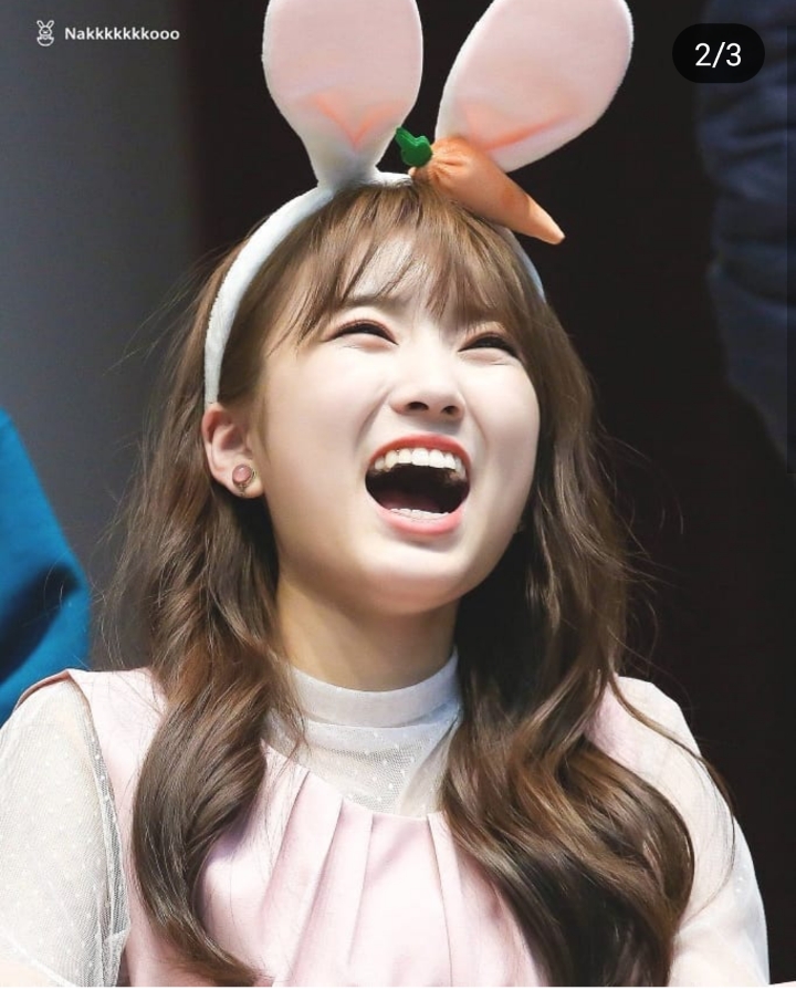 끼어버린 김나코ㅋㅋㅋㅋㅋㅋㅋㅋㅋㅋ (아이즈원) | 인스티즈