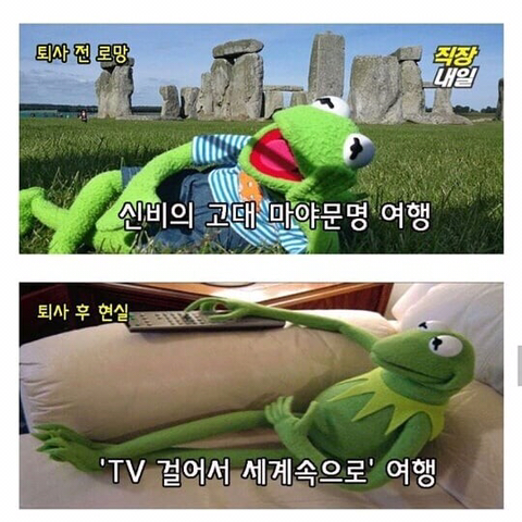 퇴사 전 로망, 퇴사 후 현실.JPG | 인스티즈