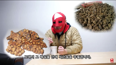 유튜브에 미을 치면 제일 위에 뜨는 유튜버의 진짜 광기 | 인스티즈