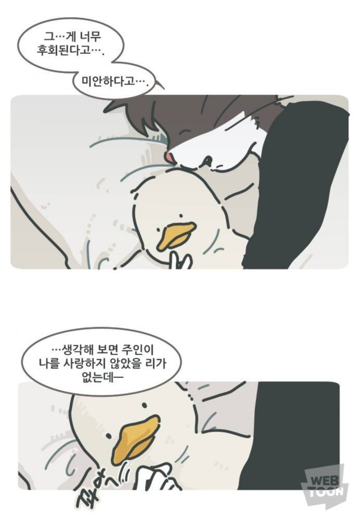 병원에서 죽음을 맞이한 고양이와 마지막을 지키지 못한 주인 | 인스티즈