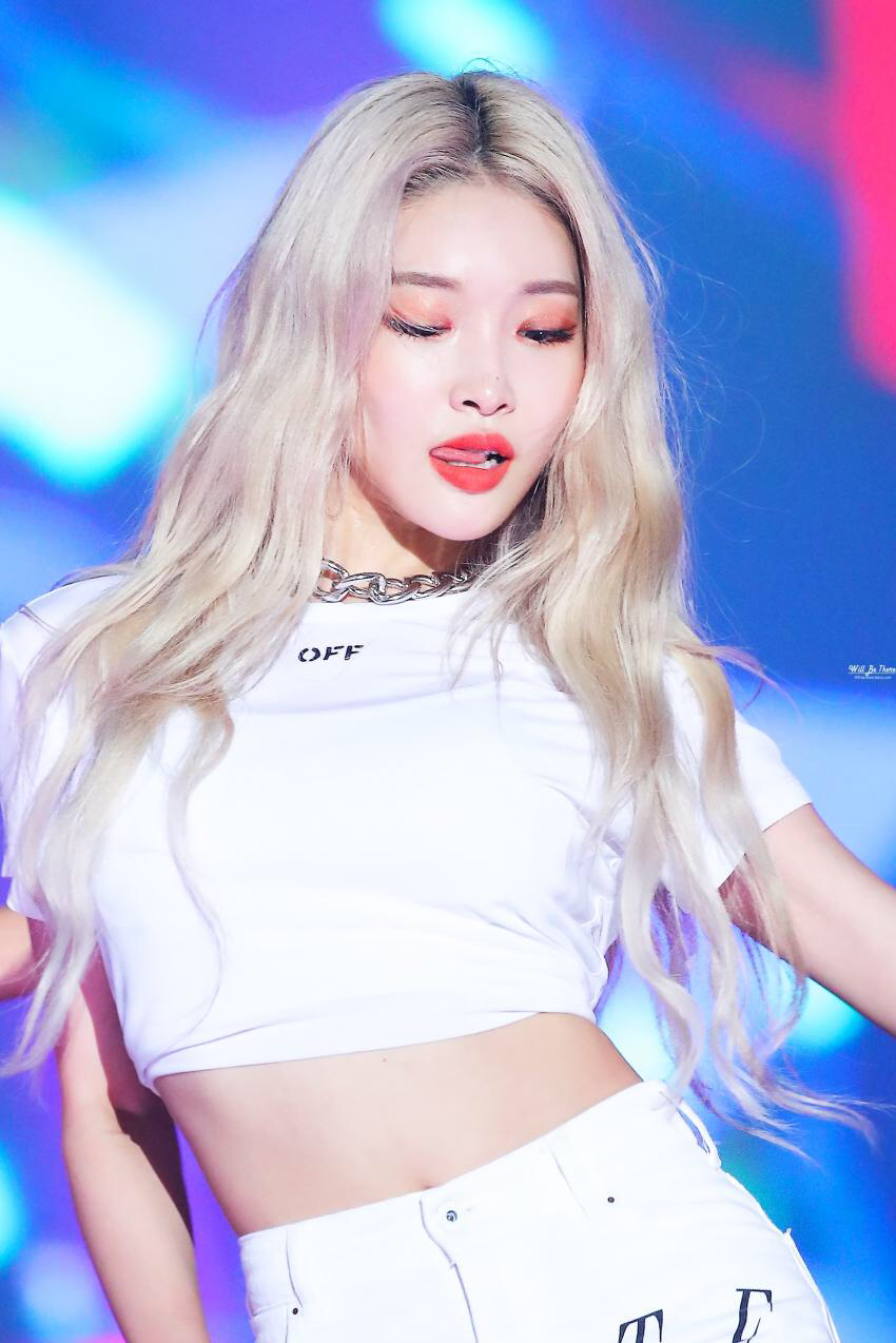 김청하존나마제스티 | 인스티즈