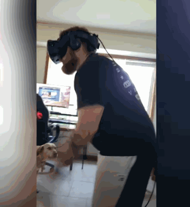 VR게임을.. 즐기는...주인...gif | 인스티즈