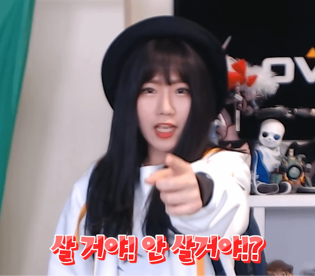 소니쇼 짤 (데이터 주의!) | 인스티즈