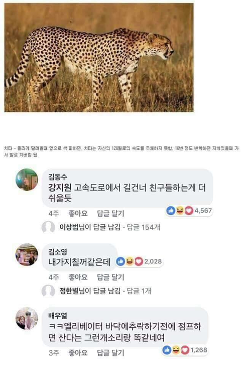 동물과 싸워서 이기는 방법ㅋㅋㅋㅋㅋㅋㅋㅋㅋㅋㅋㅋㅋㅋㅋㅋ | 인스티즈