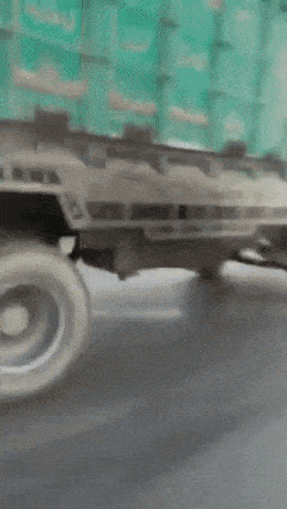 강한 자만 살아남는 그 곳 러시아 | 인스티즈