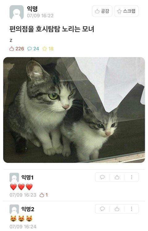 편의점을 호시탐탐 노리는 모녀 | 인스티즈