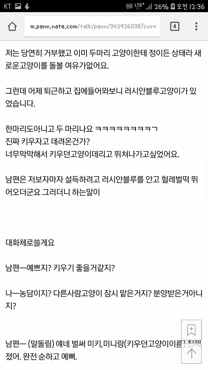 남편이 고양이한테 미쳤어요.jpg | 인스티즈