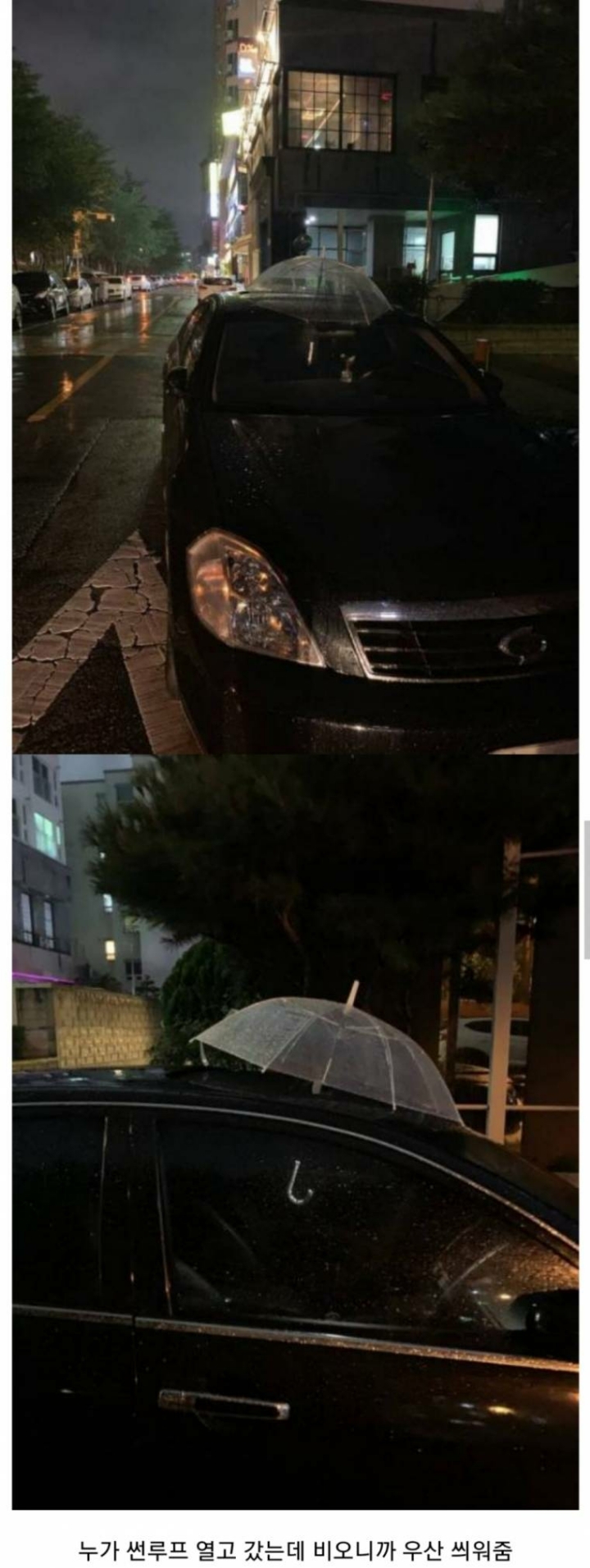 흔한 한국인의 정 | 인스티즈