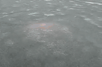 이젠 이유알기도 귀찮고 그냥 평화로운 일상임.gif | 인스티즈