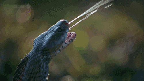 냉혹한 원딜의 세계 | 인스티즈
