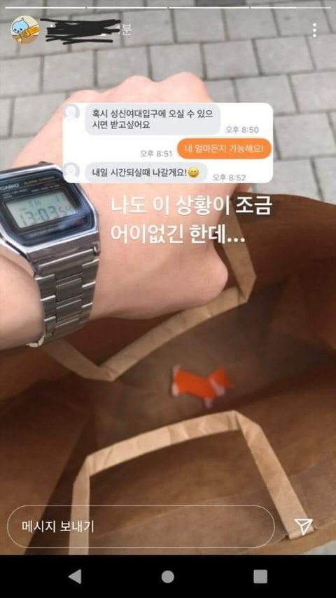 당근마켓 웰시코기 직거래 현장 ㄷㄷ | 인스티즈