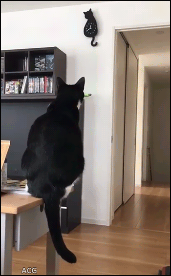 너와 나의 연결고리.gif | 인스티즈