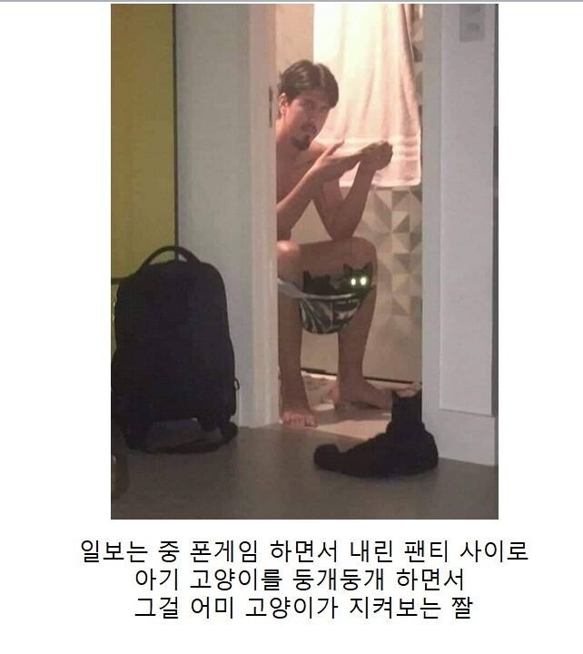 자세히 보면 이상한짤 | 인스티즈