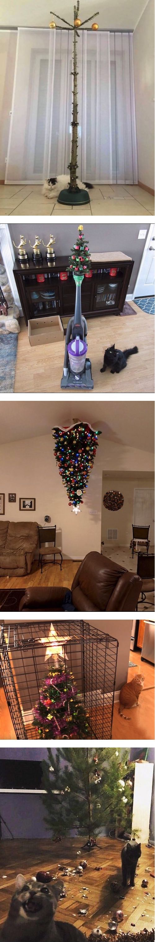 크리스마스를 안전하게 즐기는 법 | 인스티즈