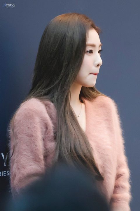 레드벨벳 아이린 | 인스티즈