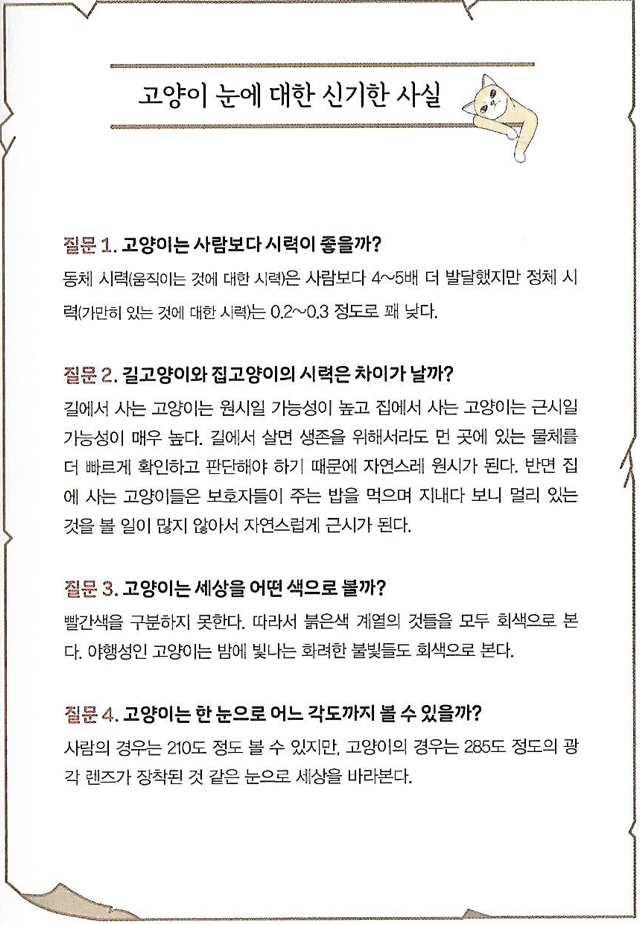고양이 눈에 대한 신기한 사실.jpg | 인스티즈