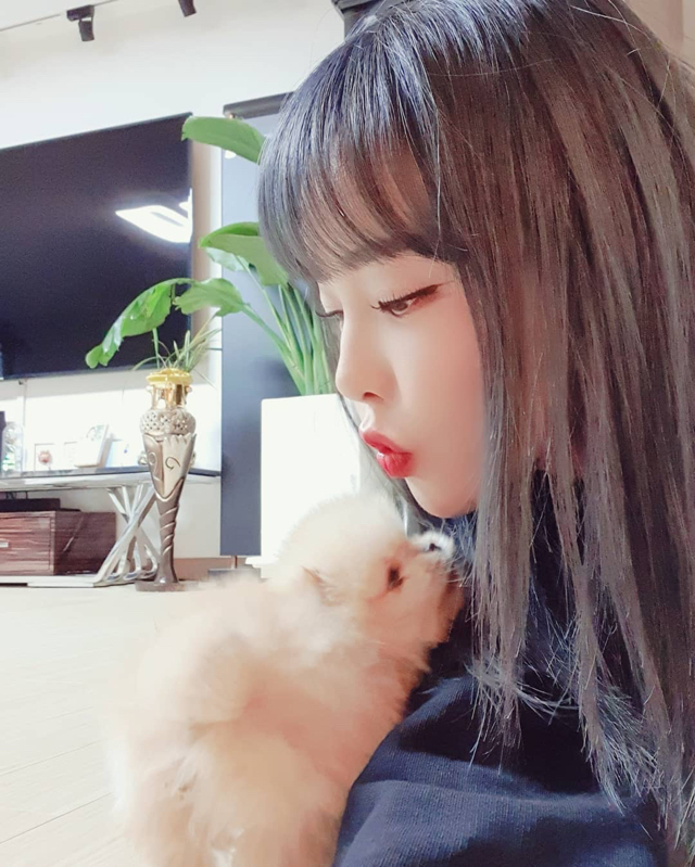 빠떼리 누나가 키우는 댕댕이ㅋㅋㅋㅋ (움짤) | 인스티즈
