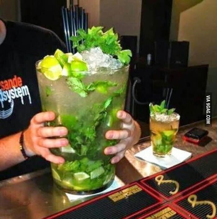 흔한 모히또크기 | 인스티즈