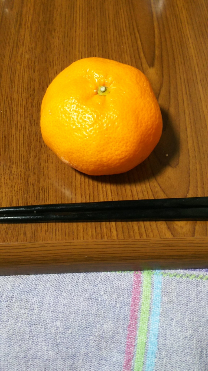 귤로 사람 놀리는 방법....jpg | 인스티즈