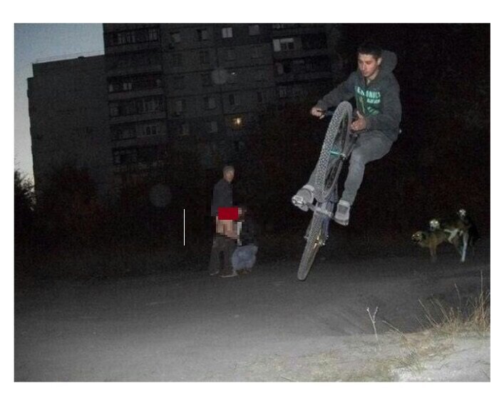 아파트 단지 앞 마당에서 자전거 묘기를 부리는 남성 뒤에서 커플 한쌍이 ㅍㄹㅊㅇ를 하고 있는 와중에 옆에서 개 세마리가 교미하고있는 사진 | 인스티즈