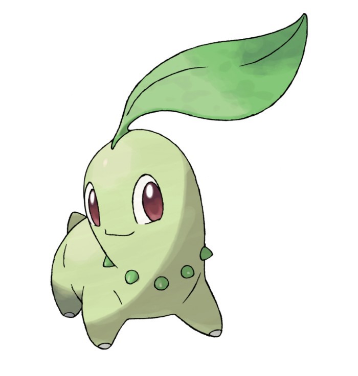 아이즈원 김채원 닮은 포켓몬 | 인스티즈