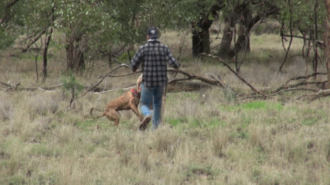 댕댕이 구출 레전드 | 인스티즈