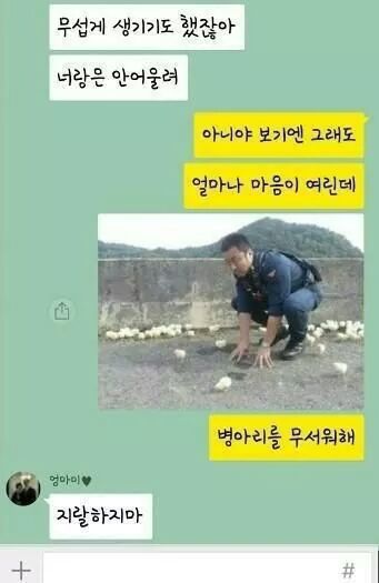 마동석카톡프사를 본 엄마카톡 | 인스티즈