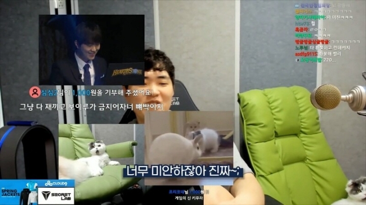 가디언 테일즈 접는 대기업 스트리머.jpg | 인스티즈