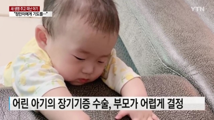 다른 이에게 새 생명을 주고 떠난 12개월 아기 | 인스티즈