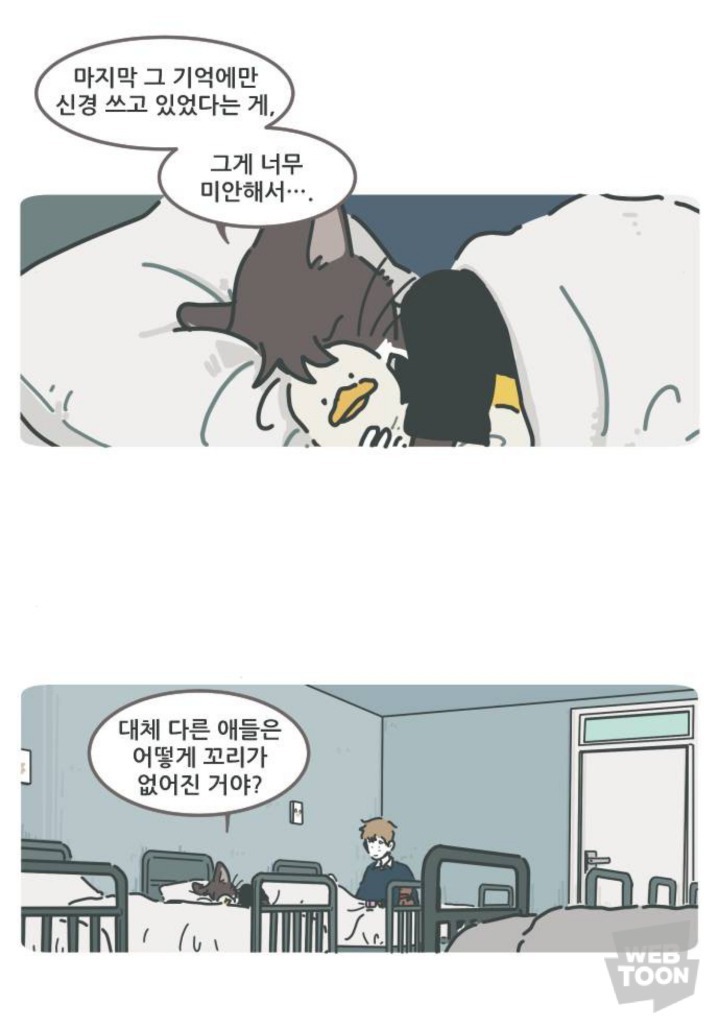 병원에서 죽음을 맞이한 고양이와 마지막을 지키지 못한 주인 | 인스티즈