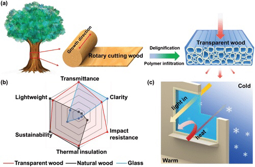 요즘 나무 근황 | 인스티즈