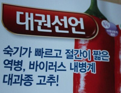 재미있는 고추 품종 이름들 | 인스티즈