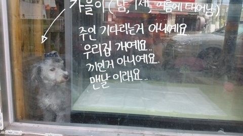 낀거 아니에용 ㅠㅠㅠ..jpg | 인스티즈