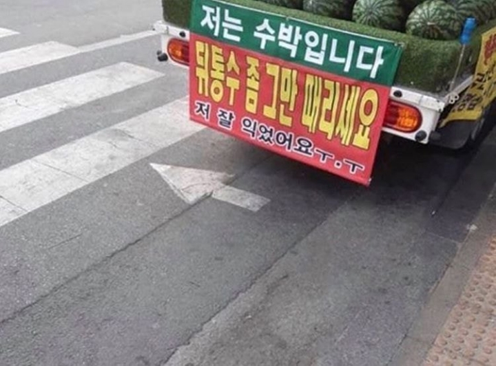 수박 사러갔을때 특징.JPG | 인스티즈