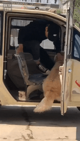 차에서 내리고싶은 인절미 | 인스티즈