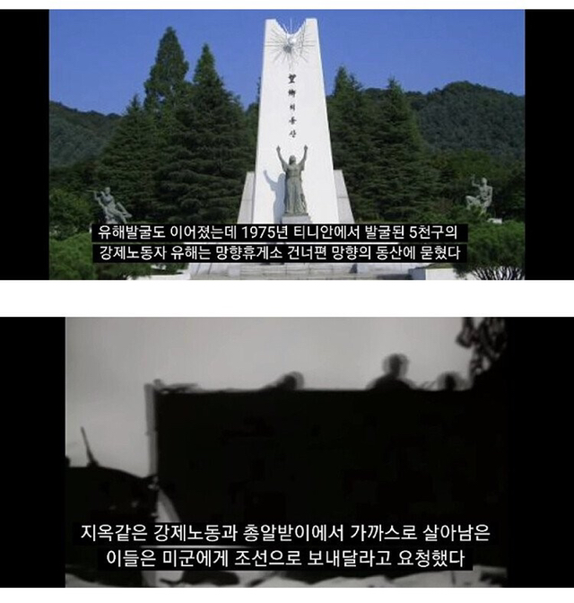 주민 중 한국계가 45%인 남태평양의 섬 티니안 | 인스티즈