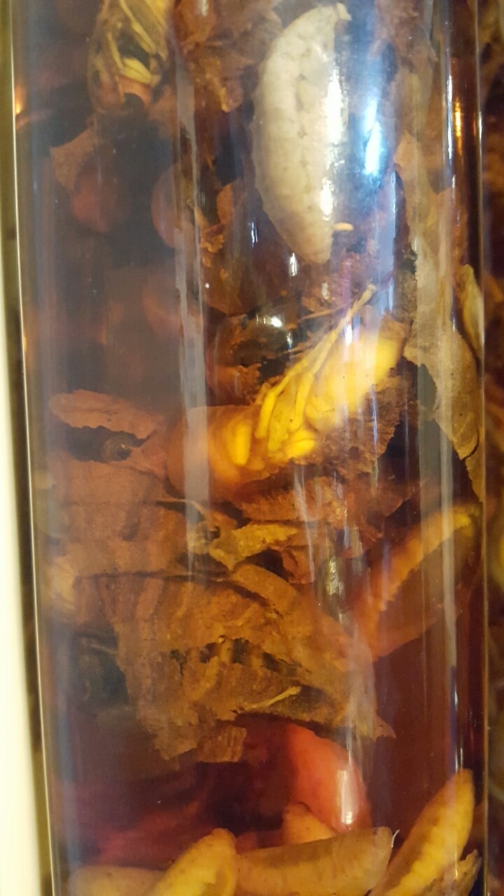 관절에 좋다는 노봉방주 | 인스티즈